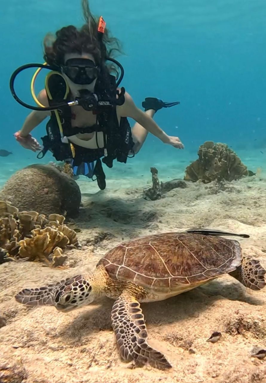 A scuba diver is swimming next to a sea turtle