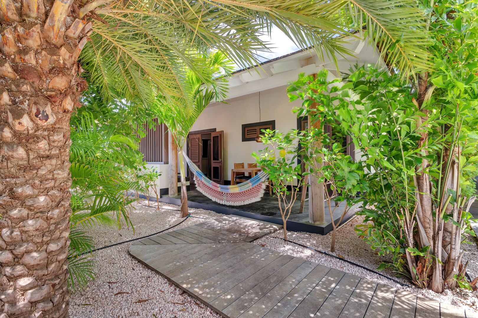 A hammock is hanging from a palm tree in front of a house.