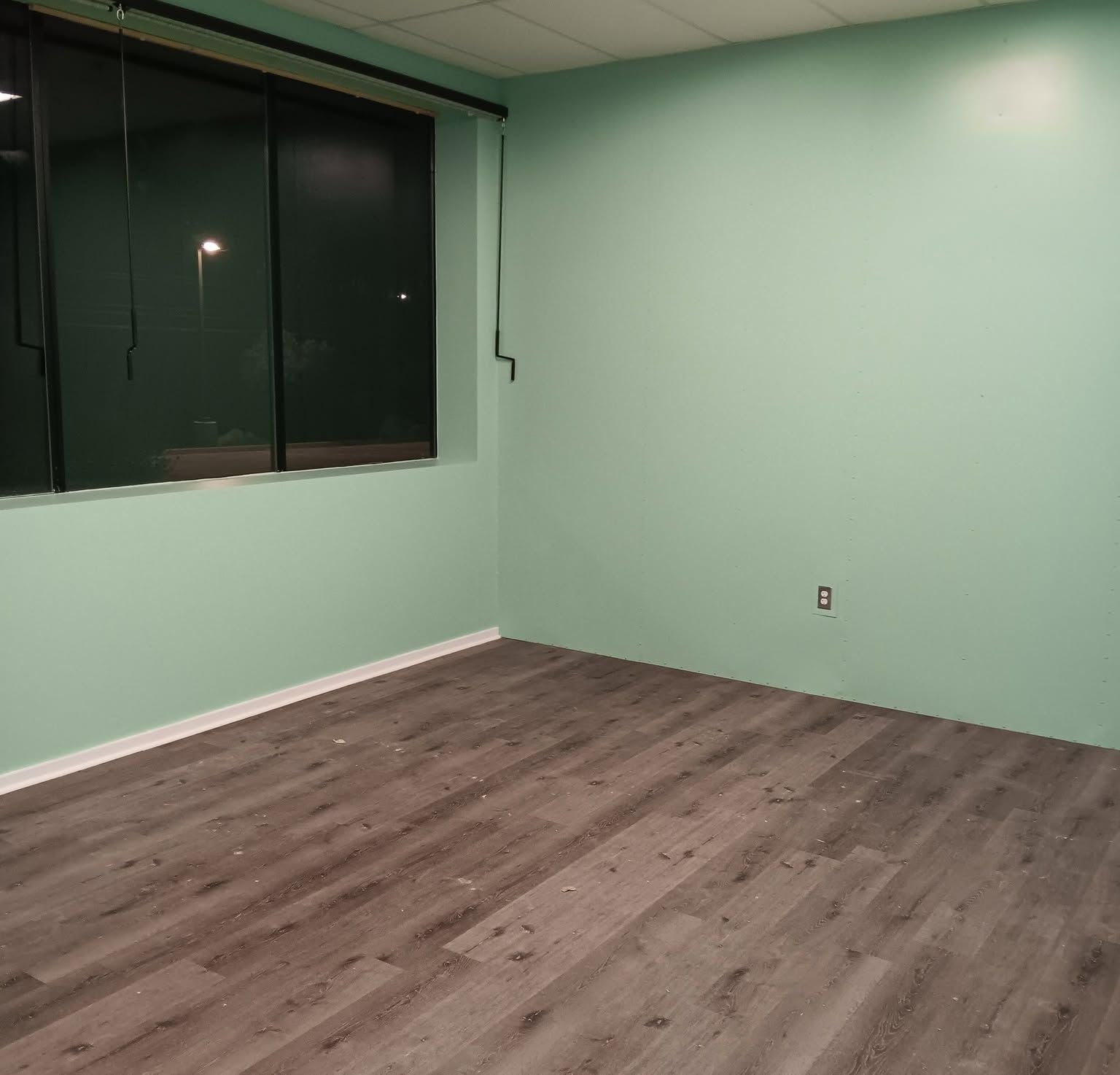Empty room with mint green walls, wood-look flooring, and a large dark window.
