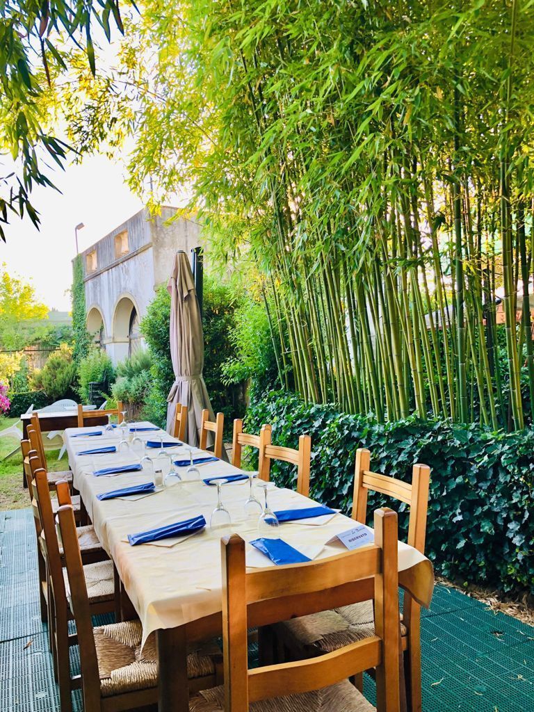 Un lungo tavolo e delle sedie sono allestiti in un giardino.