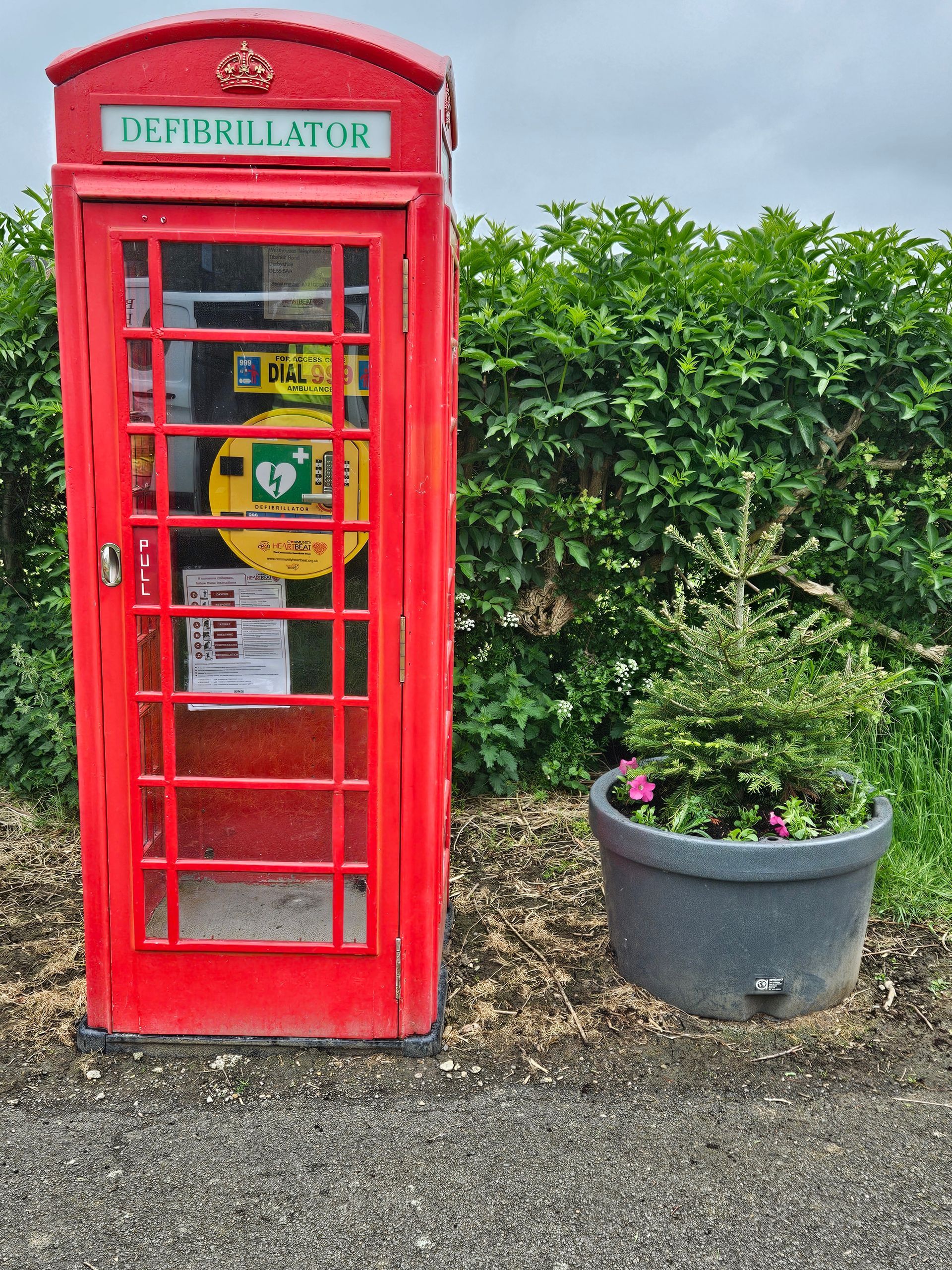 The summer planting next to the defibrillator in Westhouses