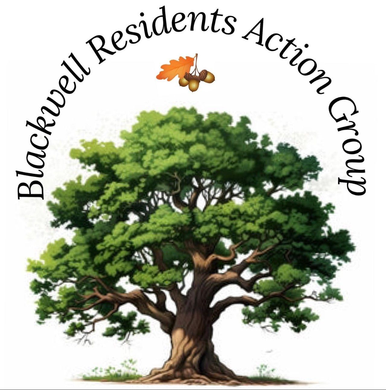 Image of the members of BRAG Image of the BRAG (Blackwell Residents Action Group) logo
