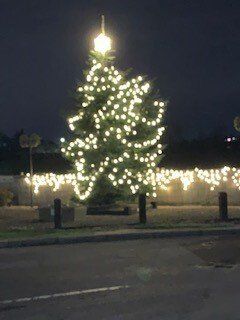 Christmas Tree in Hilcote