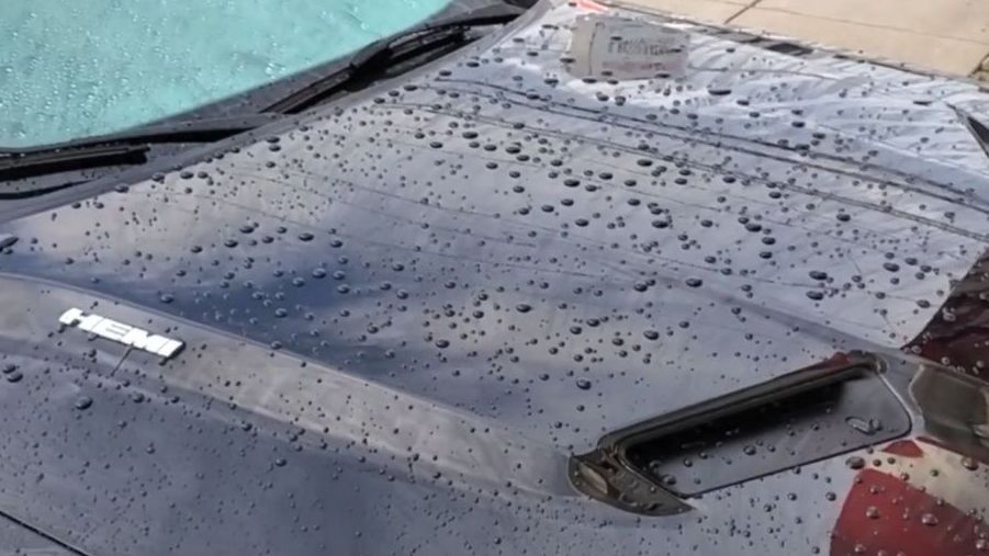 Shiny Dodge Challenger hood with water beads after ceramic coating