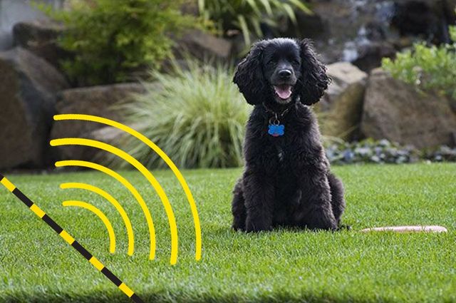 Wireless 2024 dog pen