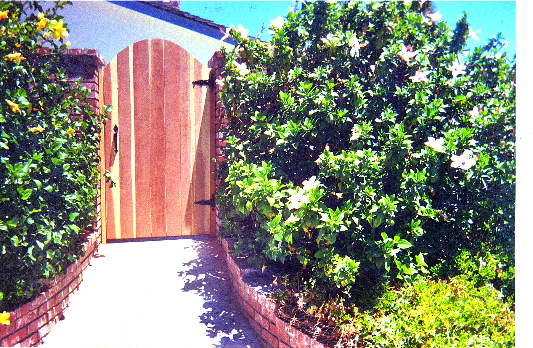 A wooden gate is surrounded by trees and bushes.
