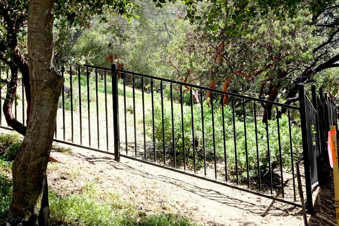 A black metal fence is surrounded by trees and grass.