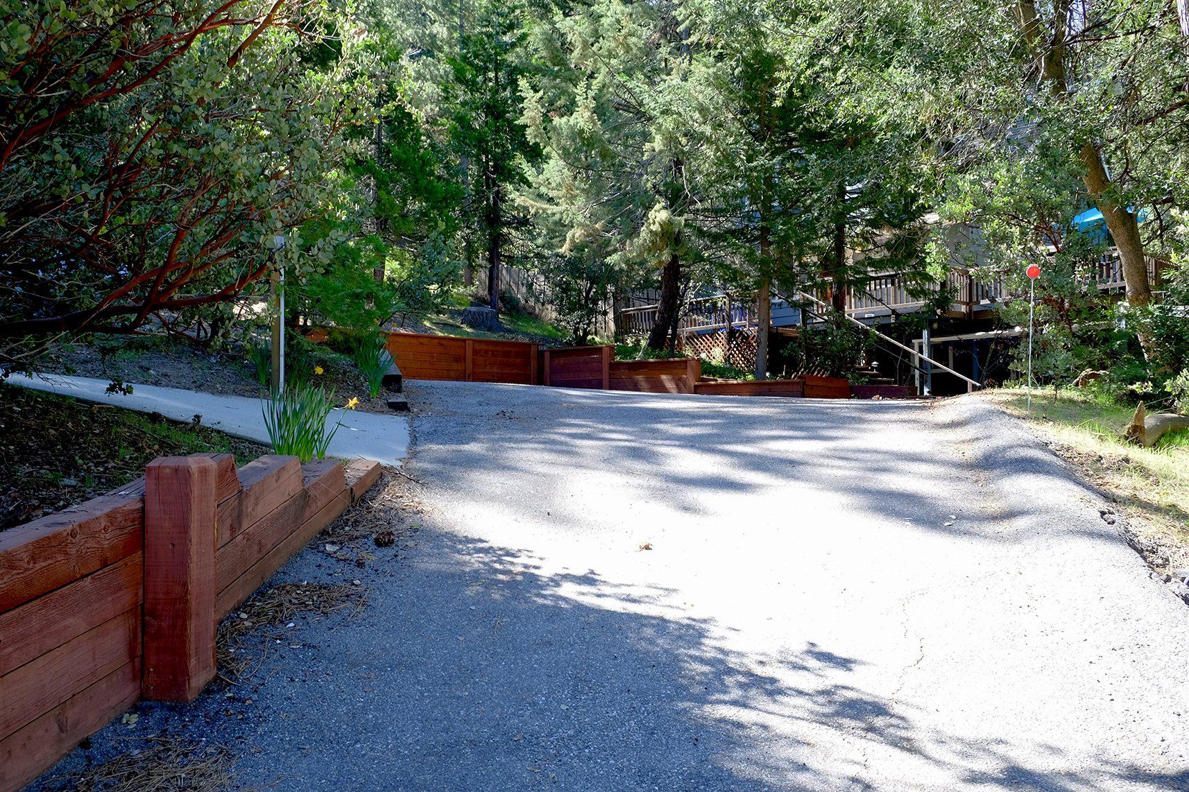 A gravel road going through a forest with trees on both sides