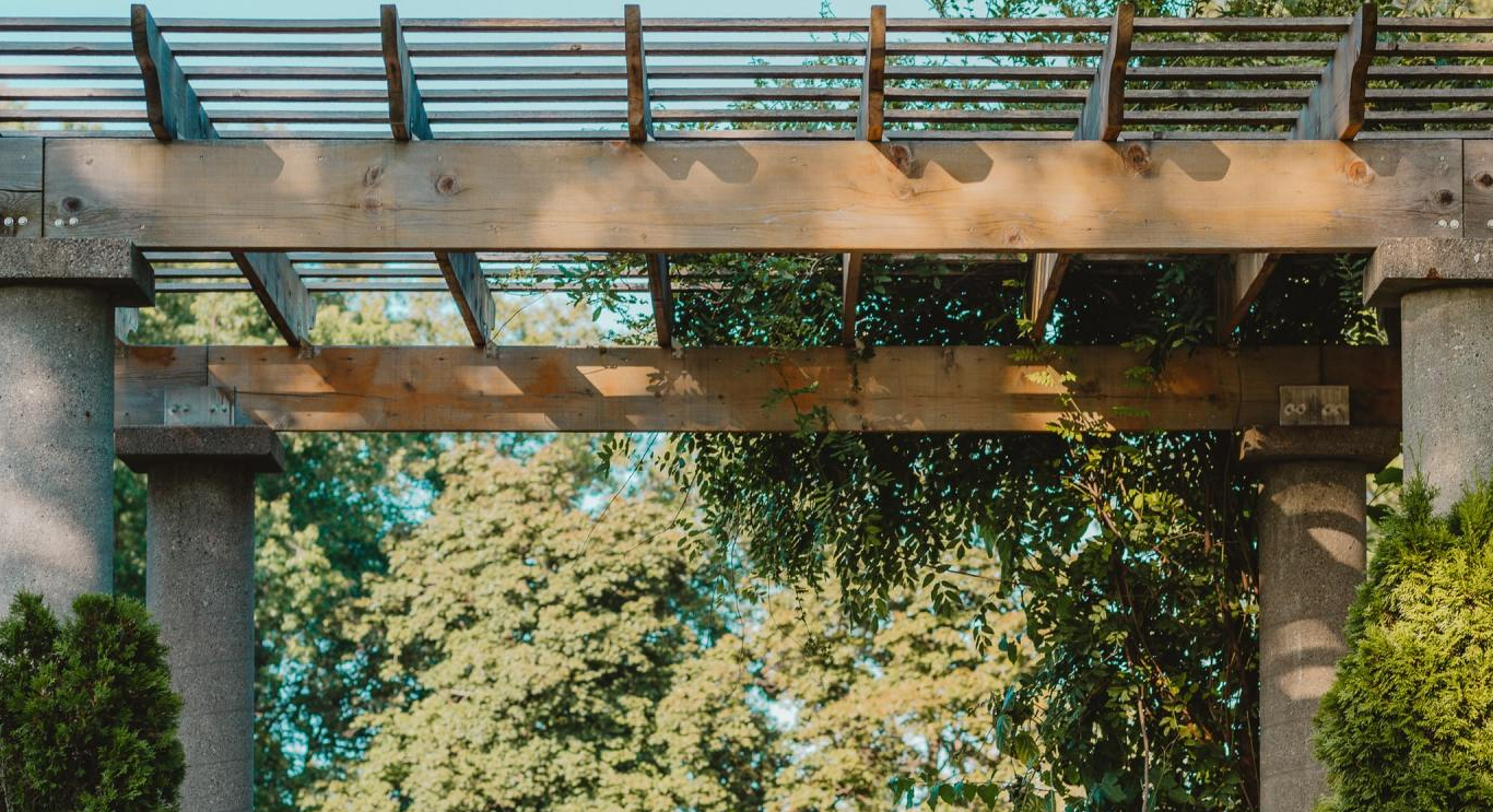 A wooden pergola is surrounded by trees in a park.