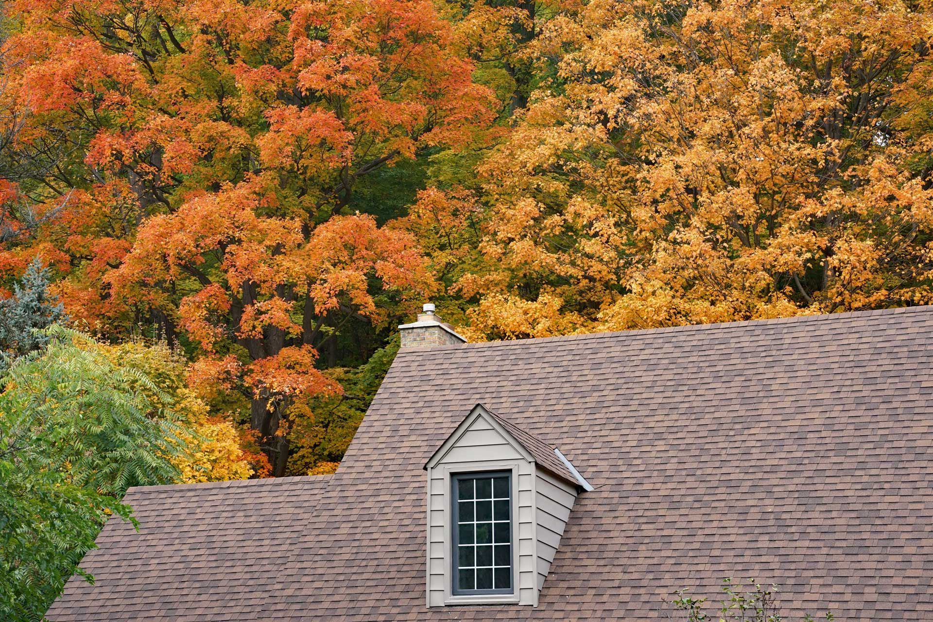 Brown roof of a house with a dormer, autumn trees with orange and yellow foliage in background.