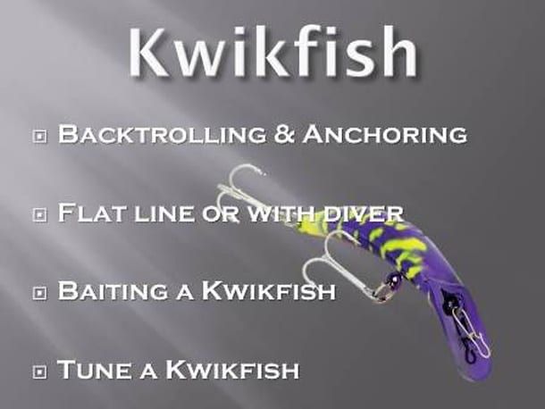 Kwikfish fishing guide rig for Chinook Salmon