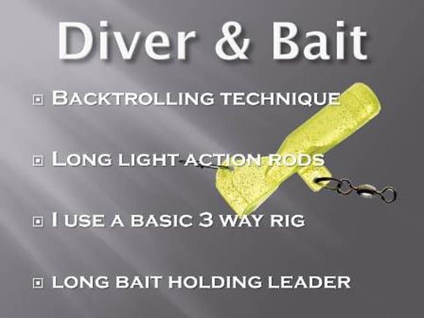 Chinook Fishing Guide Tackle of Choice