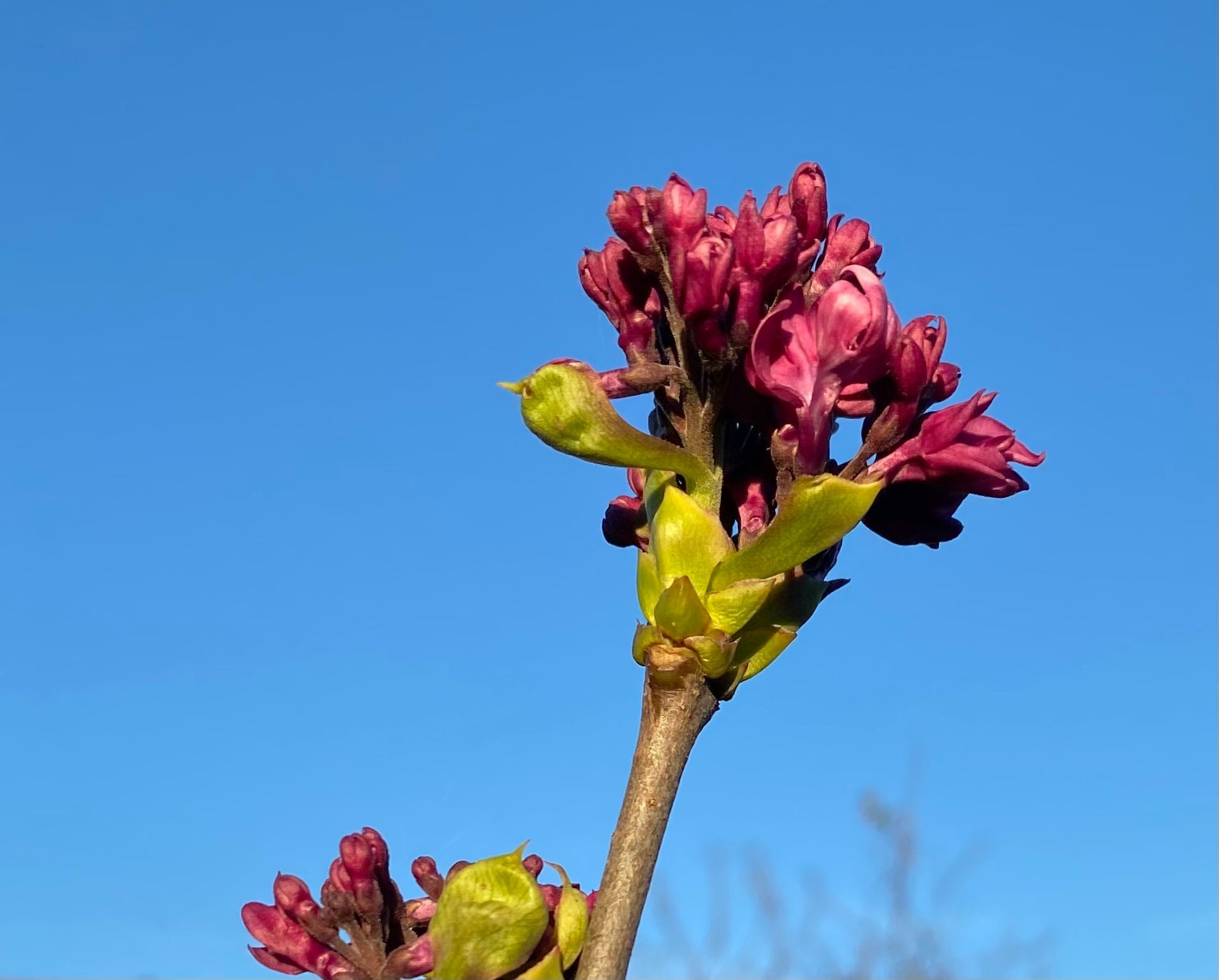 Checklisten im Trauerfall