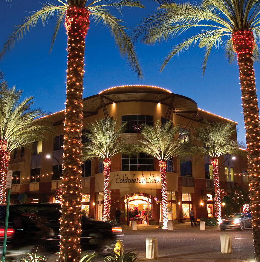 Palm trees in front of a building that says calhant cross