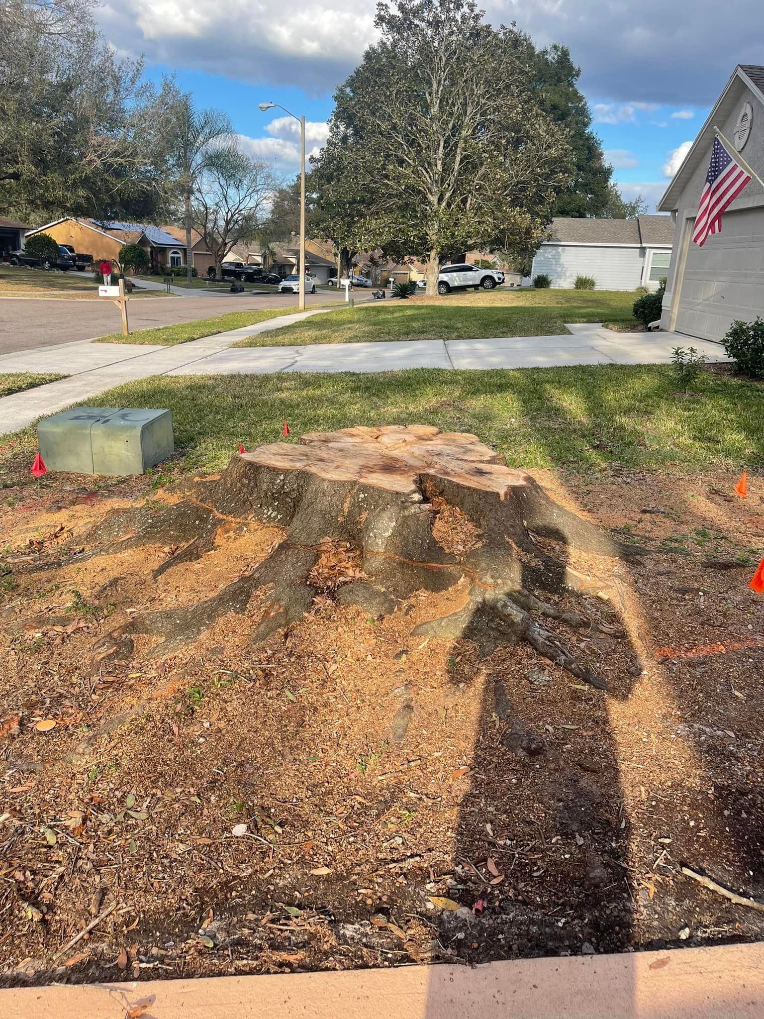 Large tree stump in yard, surrounded by wood chips. Person's shadow visible in front. Bright day.