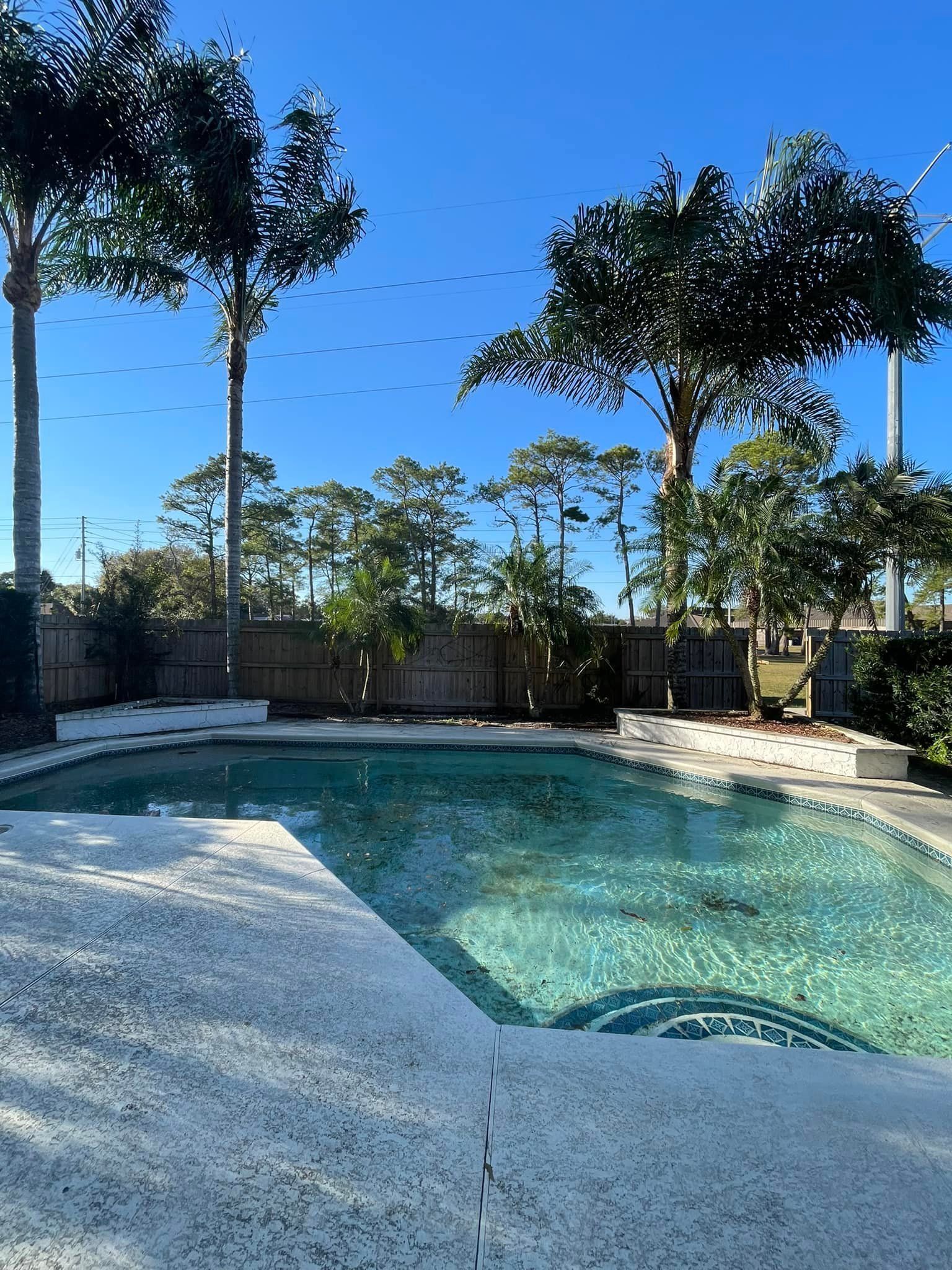 Tree Trimming | Orlando, FL | K&E Tree Service