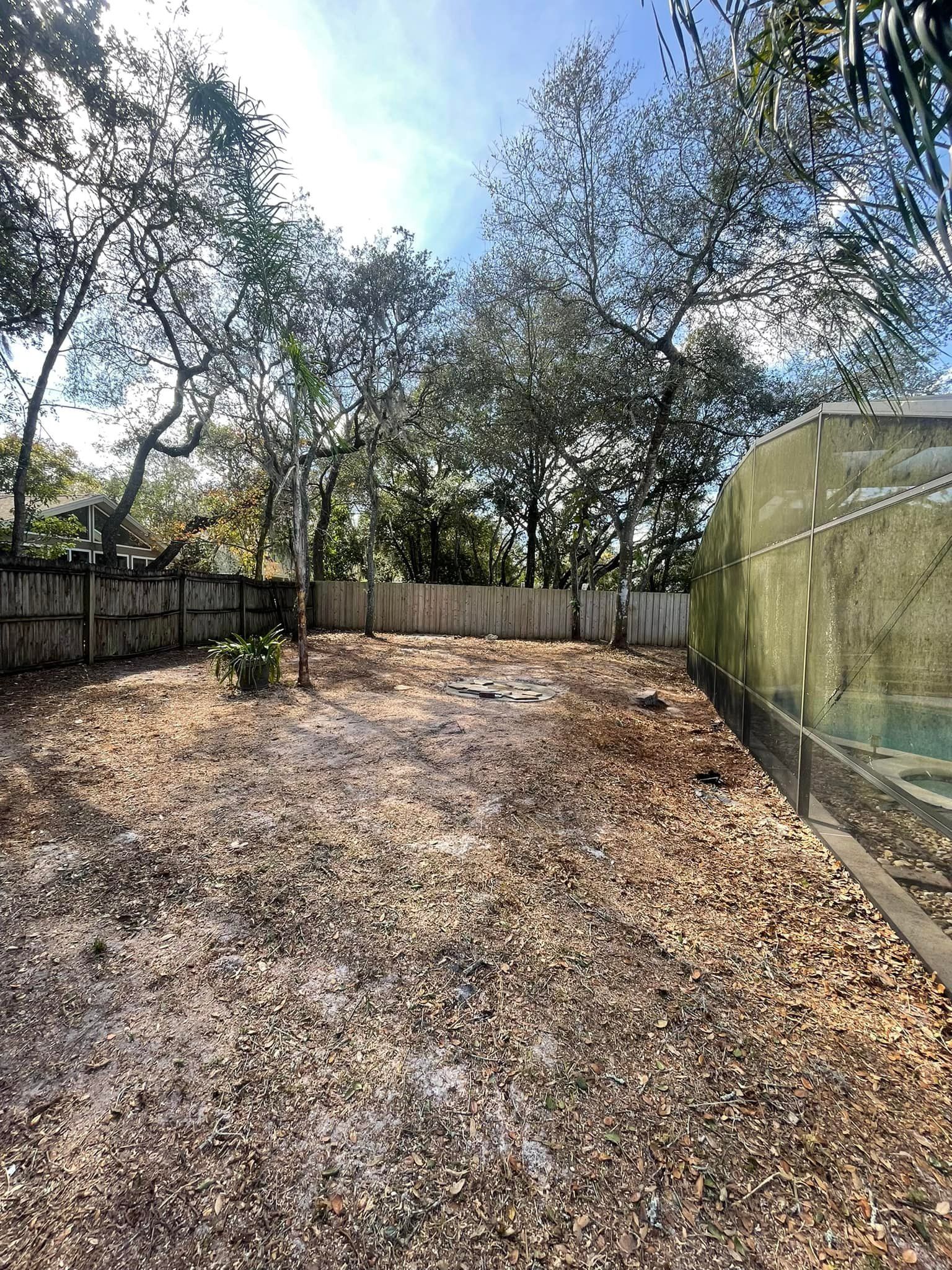 A bare backyard with a fence and trees under a blue sky.
