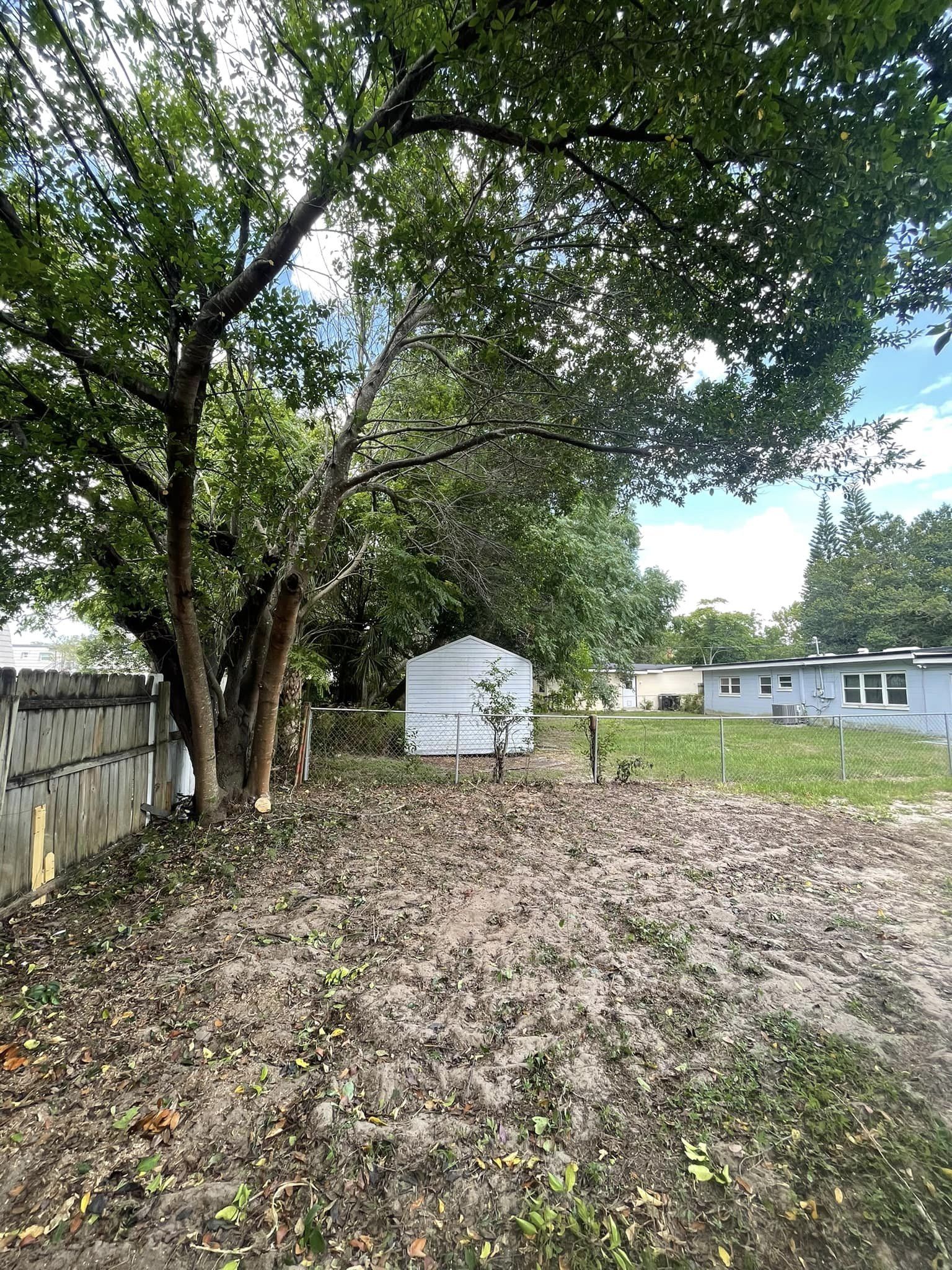 Backyard with a white shed, brown soil, green trees, and a fence.