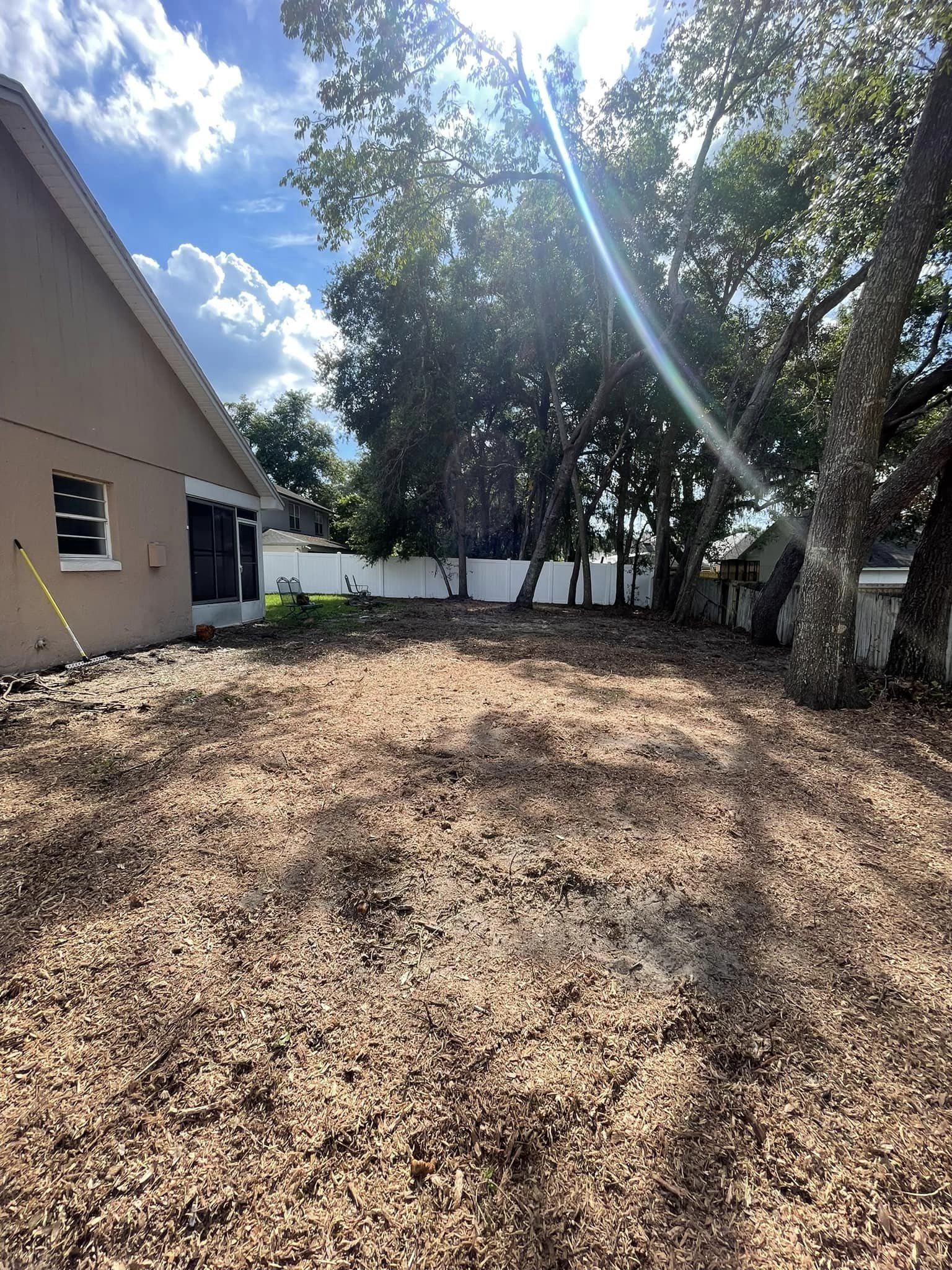 Backyard covered in wood chips, trees, and a house on a sunny day.