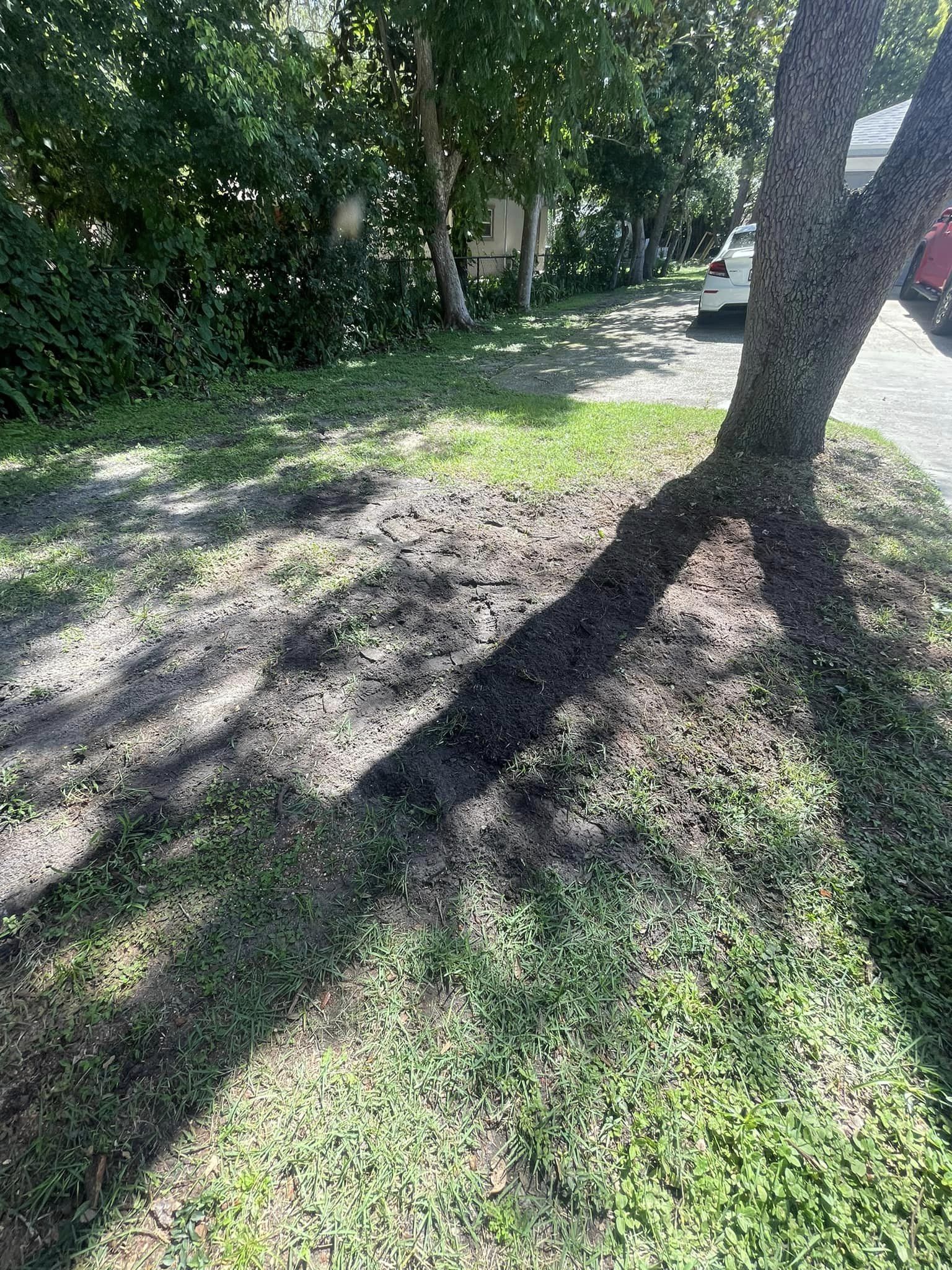 Stump Removal | Orlando, FL | K&E Tree Service