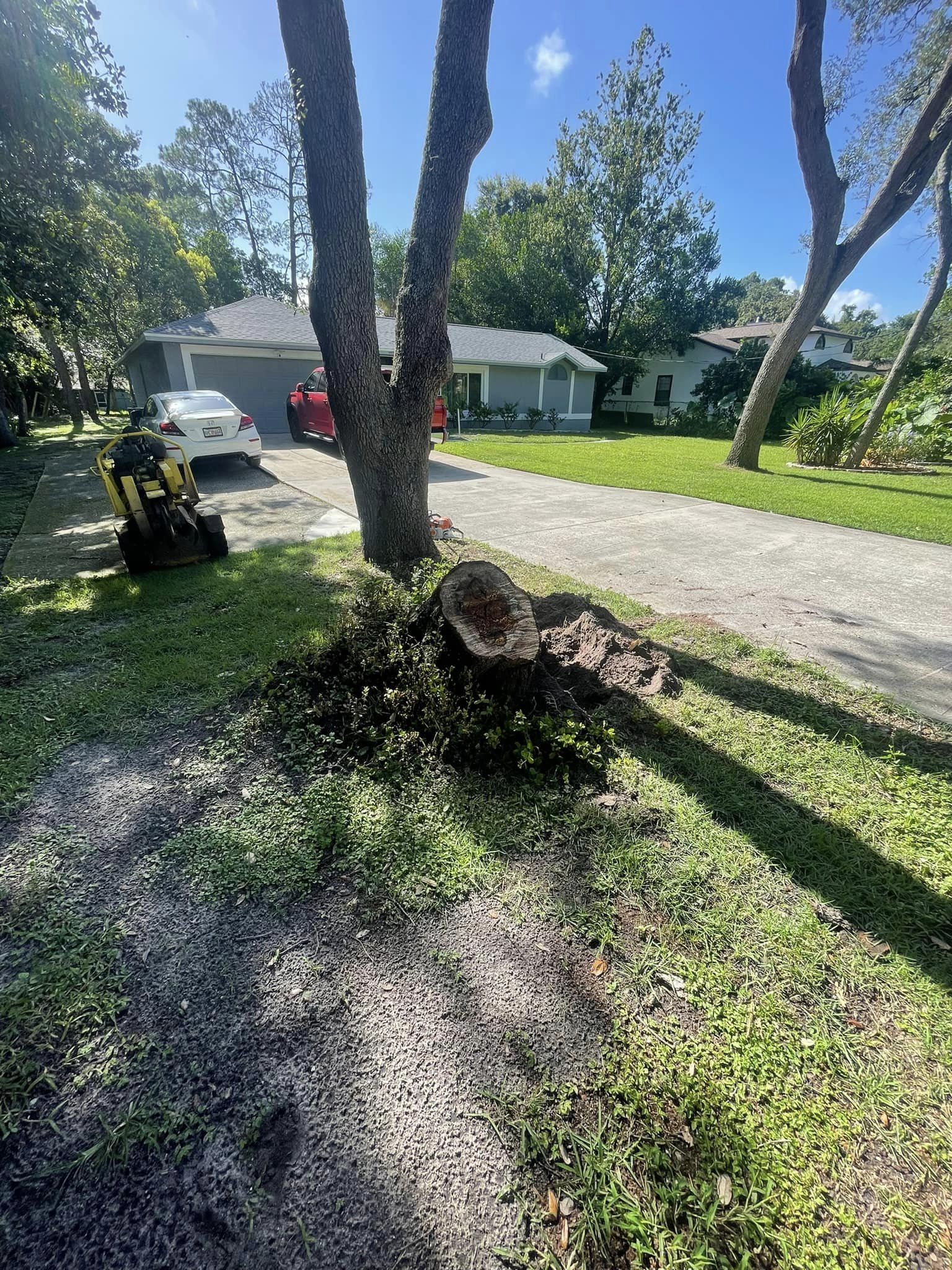 Stump Removal | Orlando, FL | K&E Tree Service