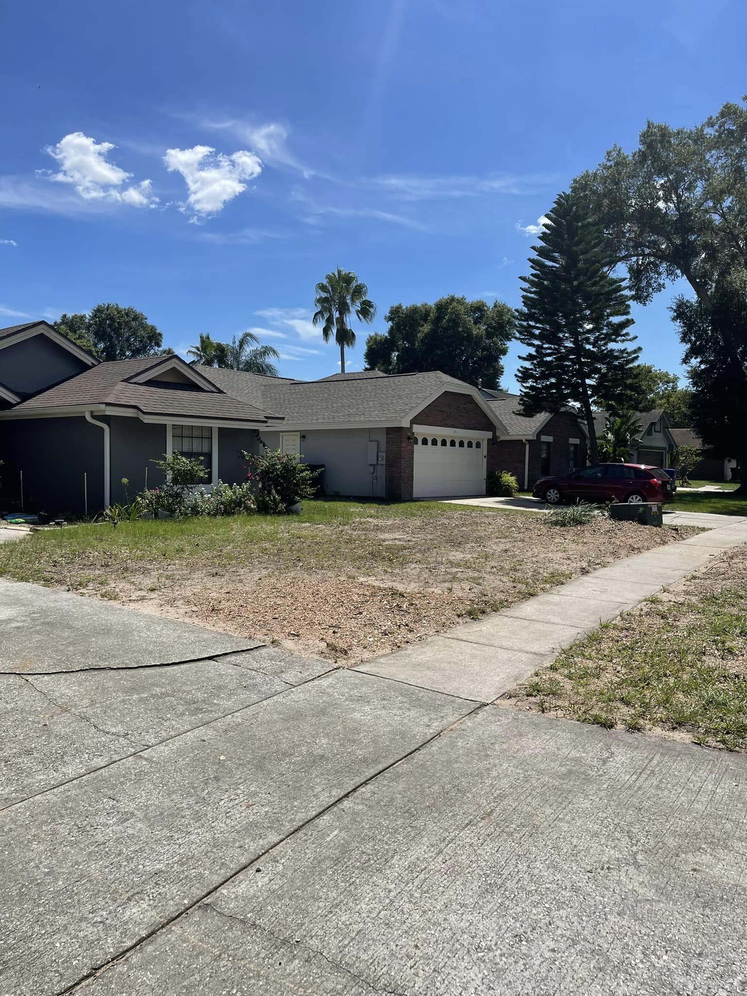 Stump Grinding | Orlando, FL | K&E Tree Service