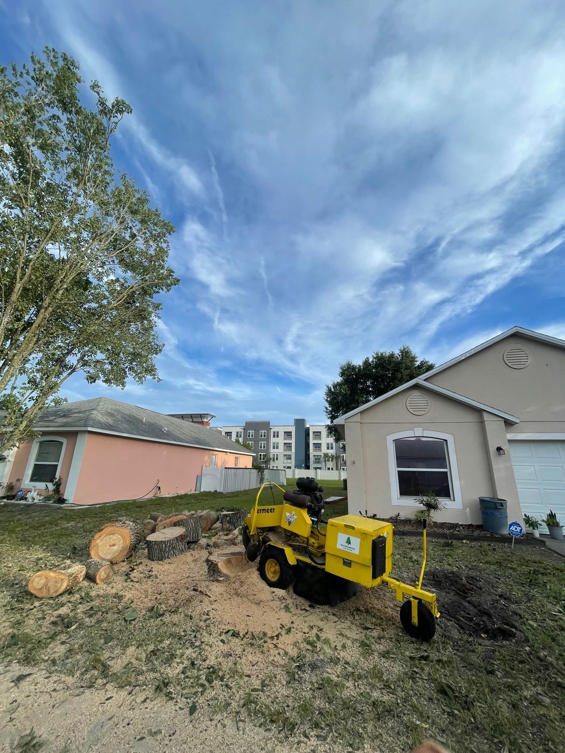 A yellow stump grinder in a yard, grinding a tree stump near homes under a cloudy sky.