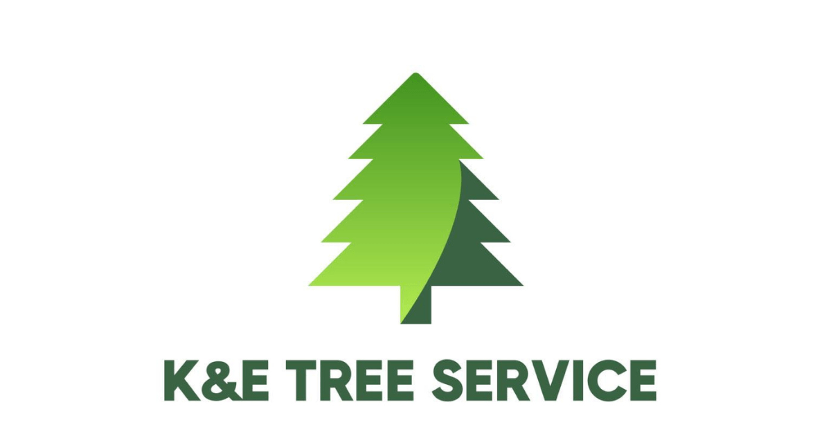 Tree Services Orlando, FL K&E Tree Service