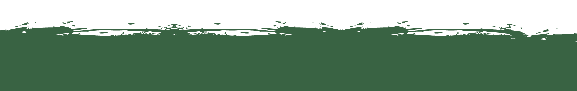 Dark green band with lighter green and white mottled detail at the top.