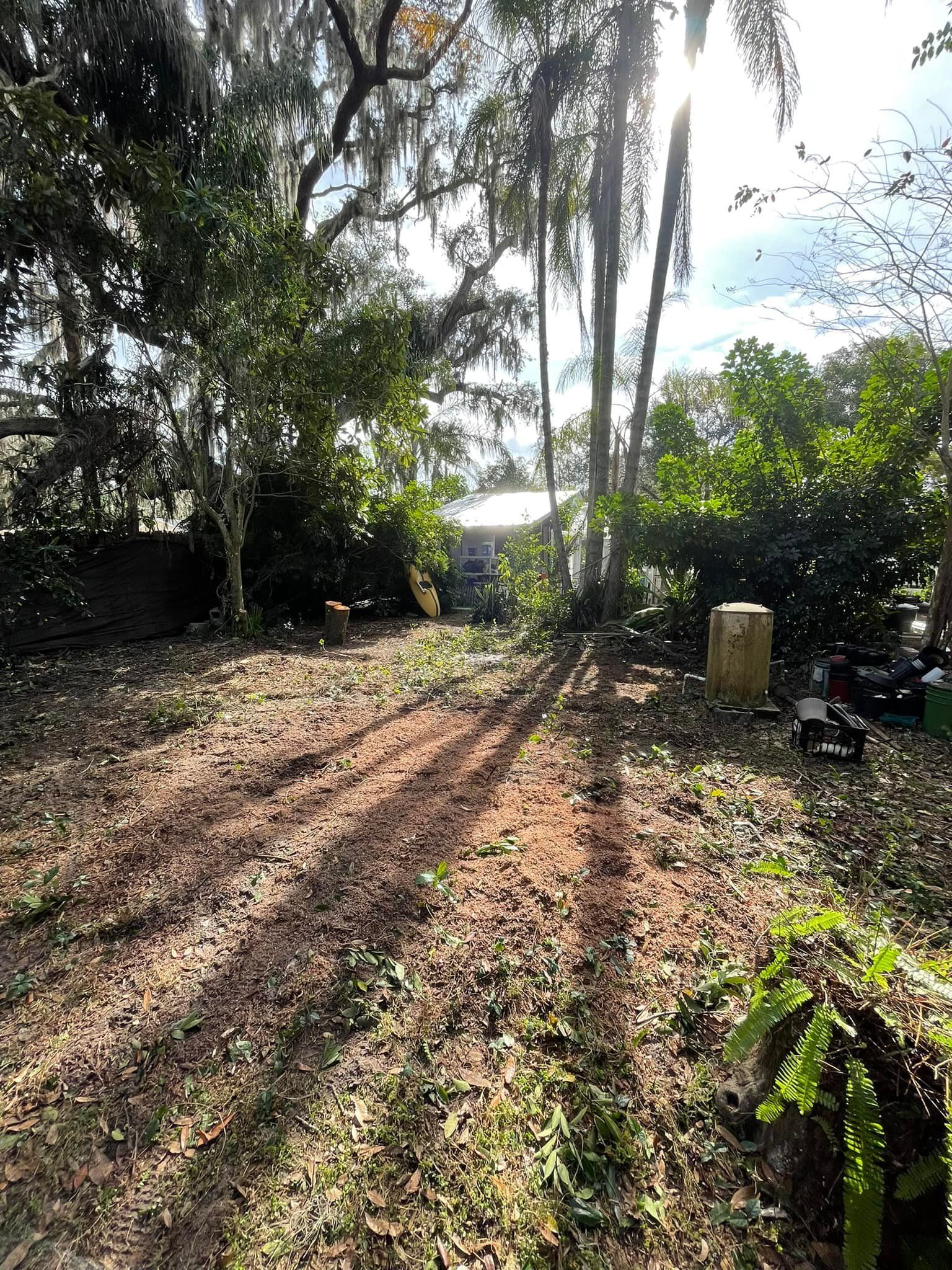 Land Clearing | Orlando, FL | K&E Tree Service