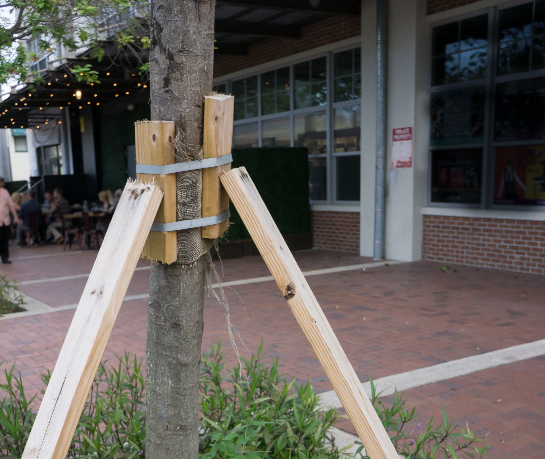Tree trunk supported by wooden braces and metal band, near a building entrance and patio.