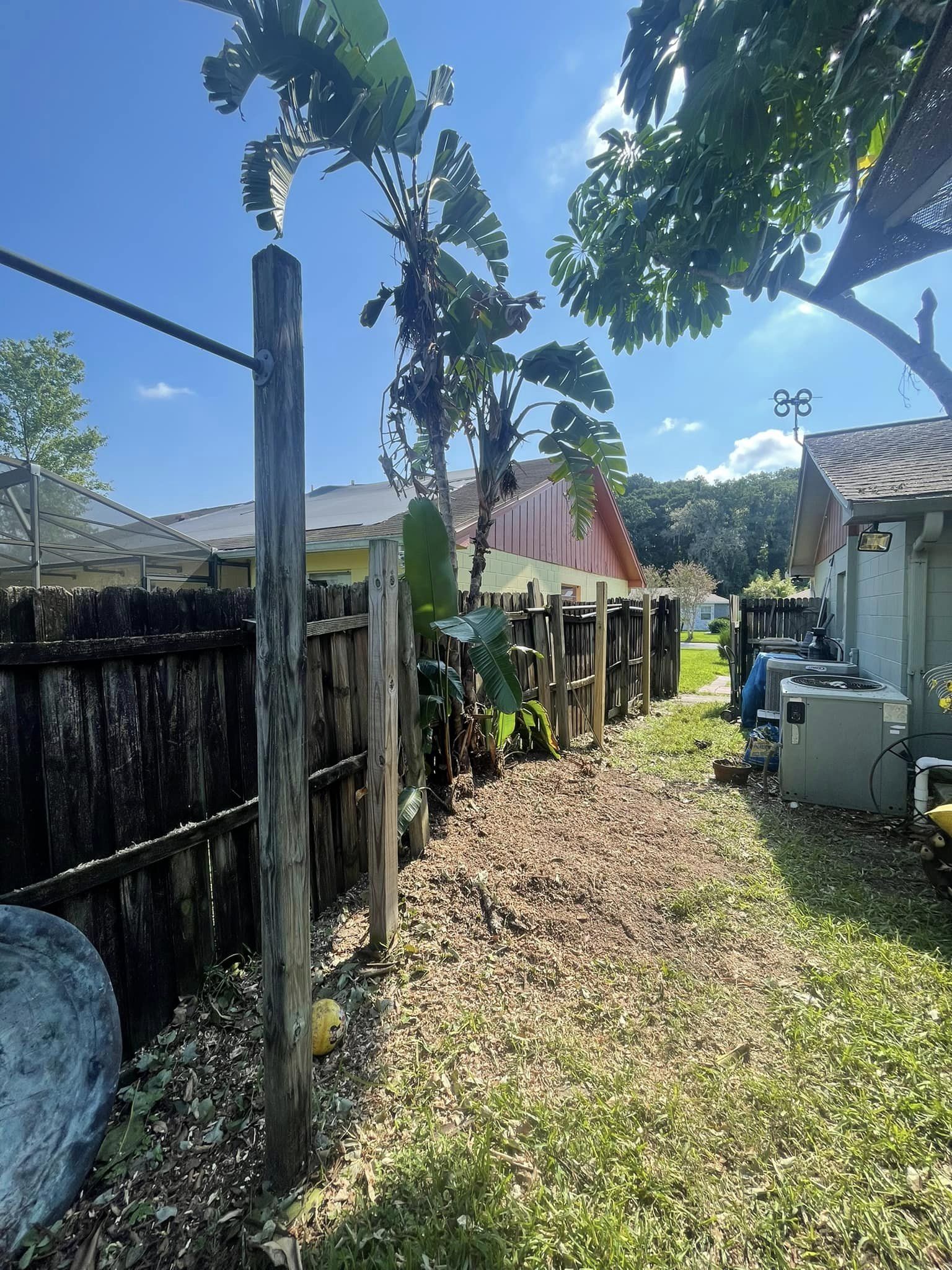 Backyard with wooden fence, gravel path, trees, and a clear blue sky.