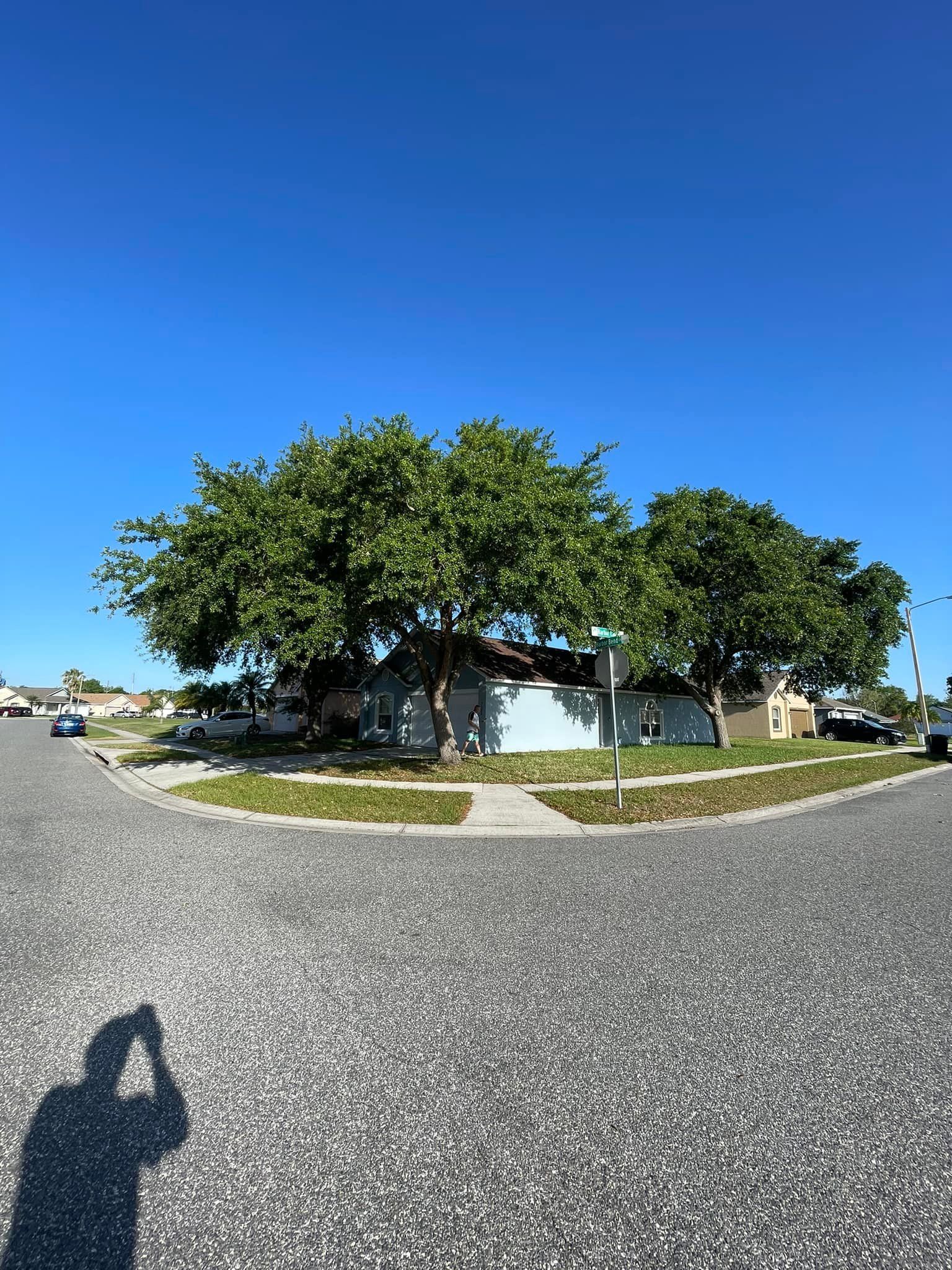 Street corner with a house, trees, and a clear blue sky. Shadow of person taking a photo.
