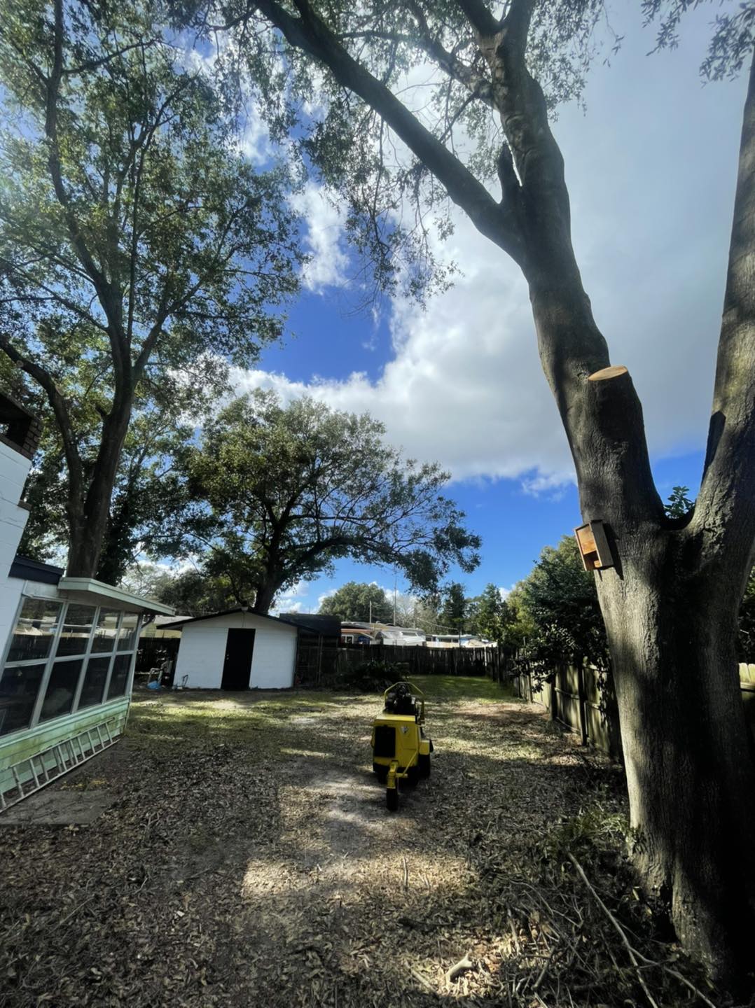 Backyard scene with a yellow machine, trees, blue sky with clouds, and a white building.