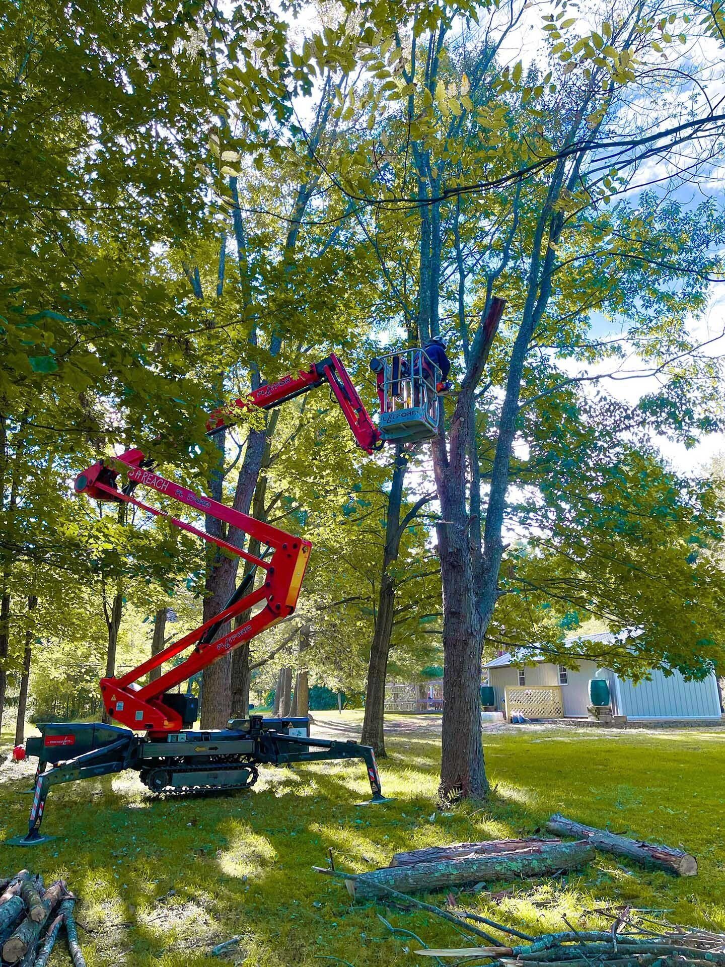 Tree Trimming Services Batavia, OH Tree Top Tree Trimming LLC