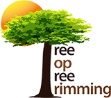 Tree Top Tree Trimming LLC