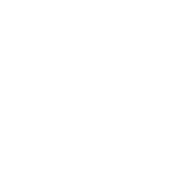 Polar Technology logo