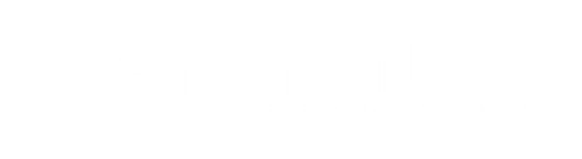 Hexagon logo with mountains, trees, and campfire in orange and blue. Company name is white.