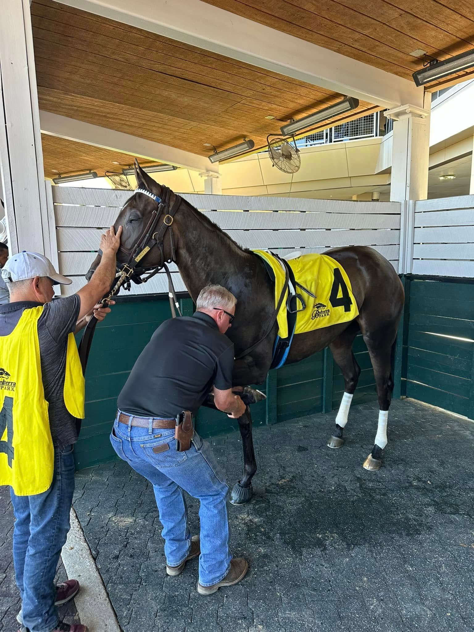 Two men are standing next to a horse in a stable.