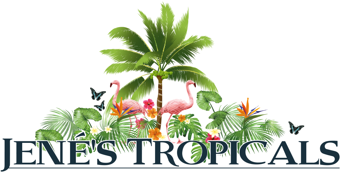 Exotic Fruit Tree Nursery / Spyke S Tropical Nursery 95 Varieties Of
