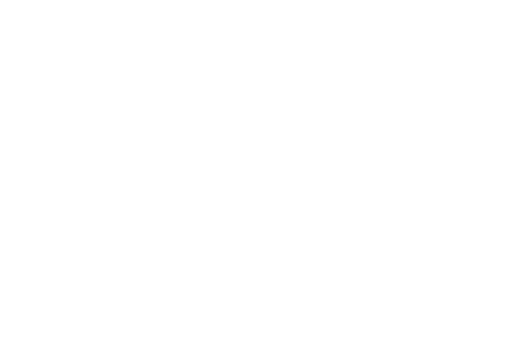 Crouss Law Logo White