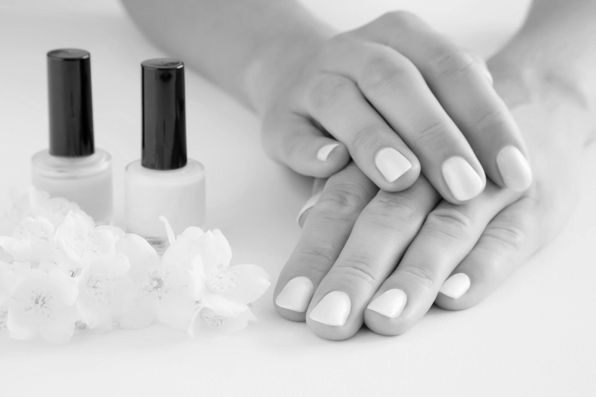 A black and white photo of a woman 's hands with white nails and two bottles of nail polish.