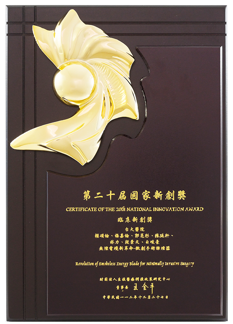Vigeon Received the Taiwan Innovation Award