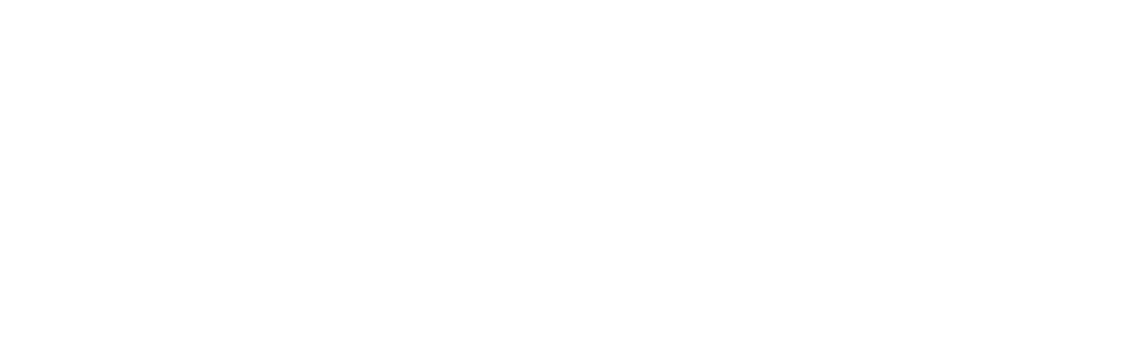 Focus on Solutions logo
