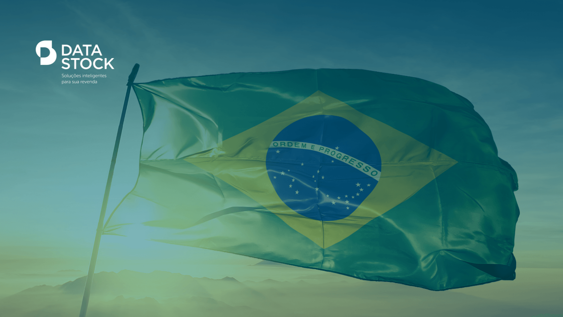 Renave: confira a situação atual do sistema no Brasil