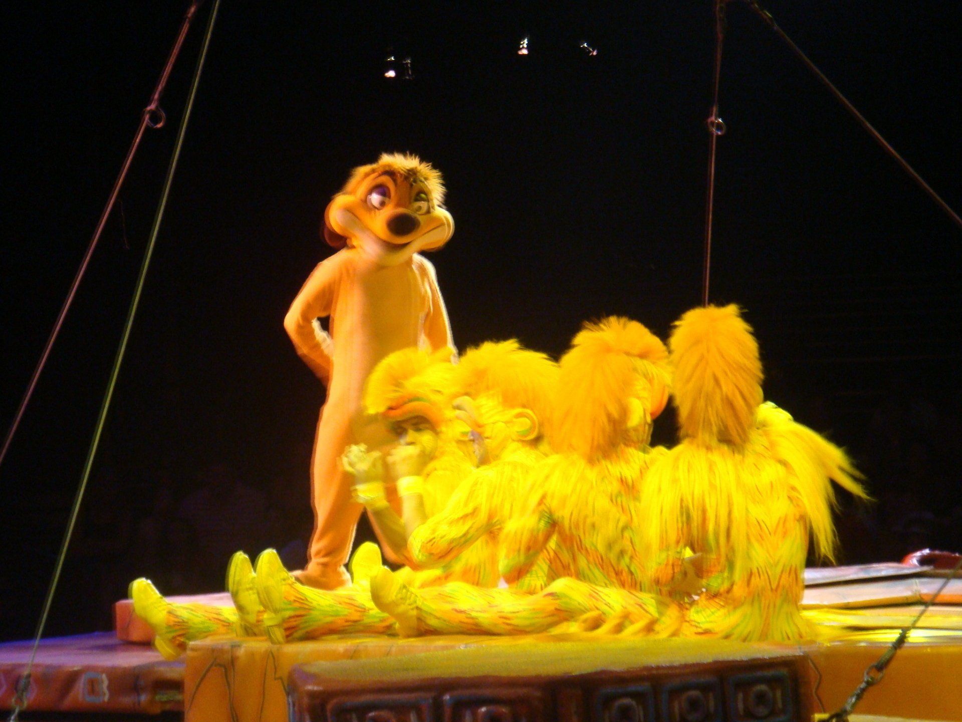 The Lion King Show — Clarksburg, WV — Clarksburg Travel Service