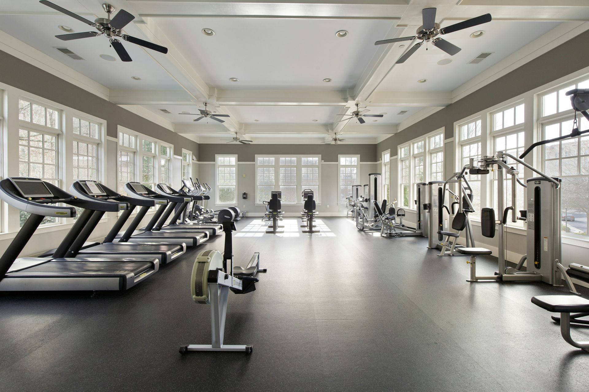 Gym with treadmills, weight machines, and rowers; windows along walls and ceiling fans.