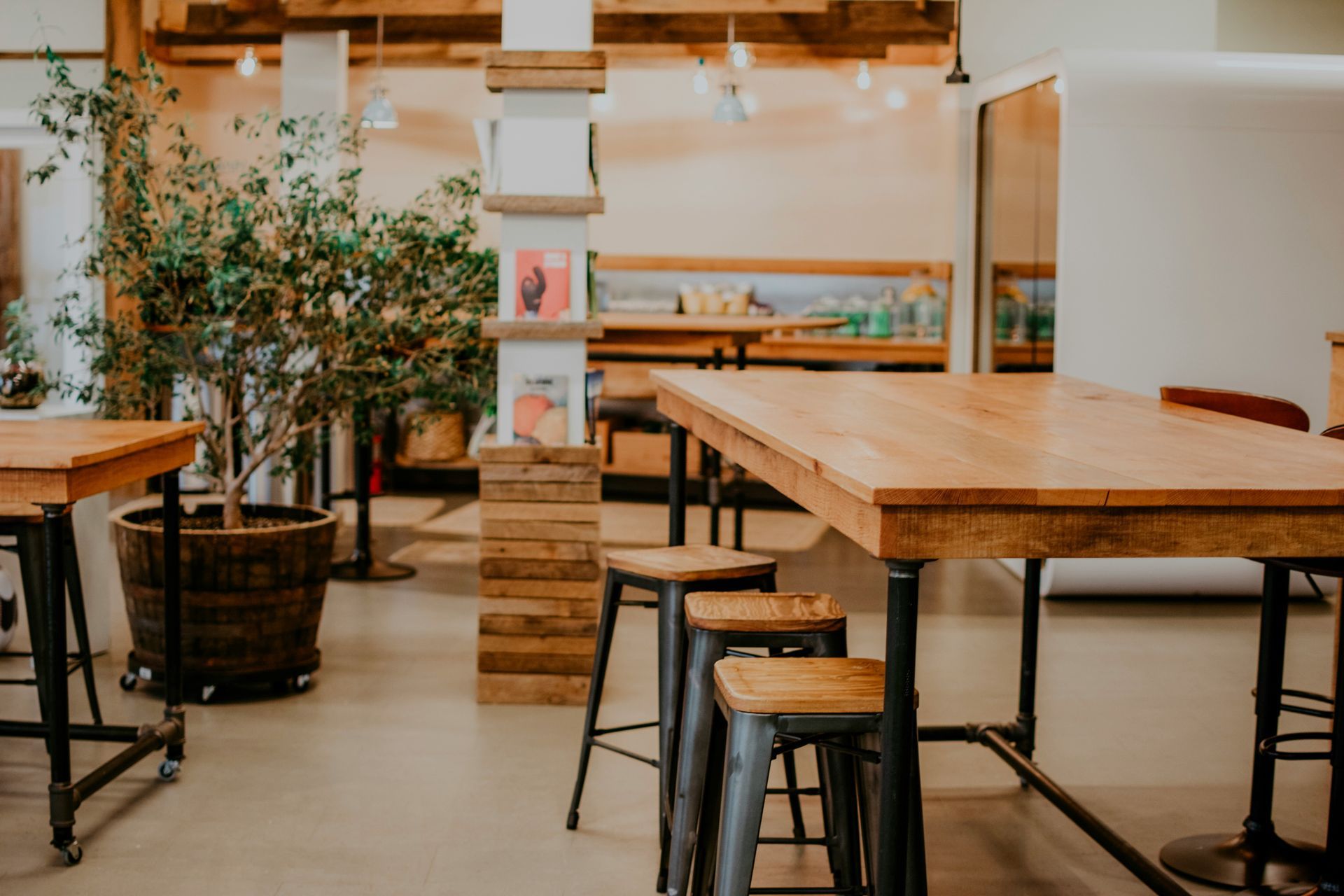 Cafe interior with wooden tables, stools, a large potted plant, and neutral tones.