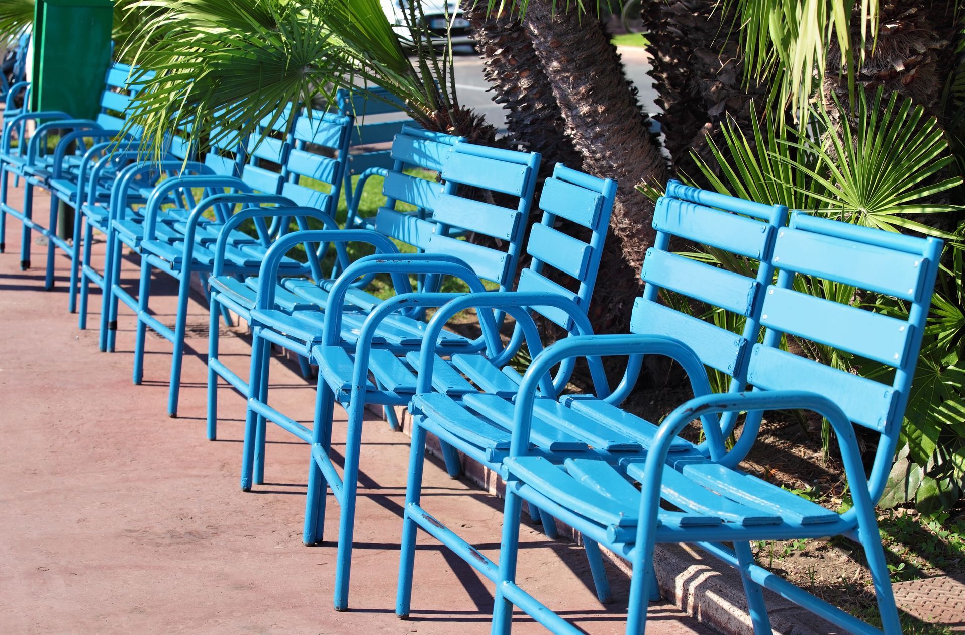 Blue metal benches line a walkway, with palm trees in the background.