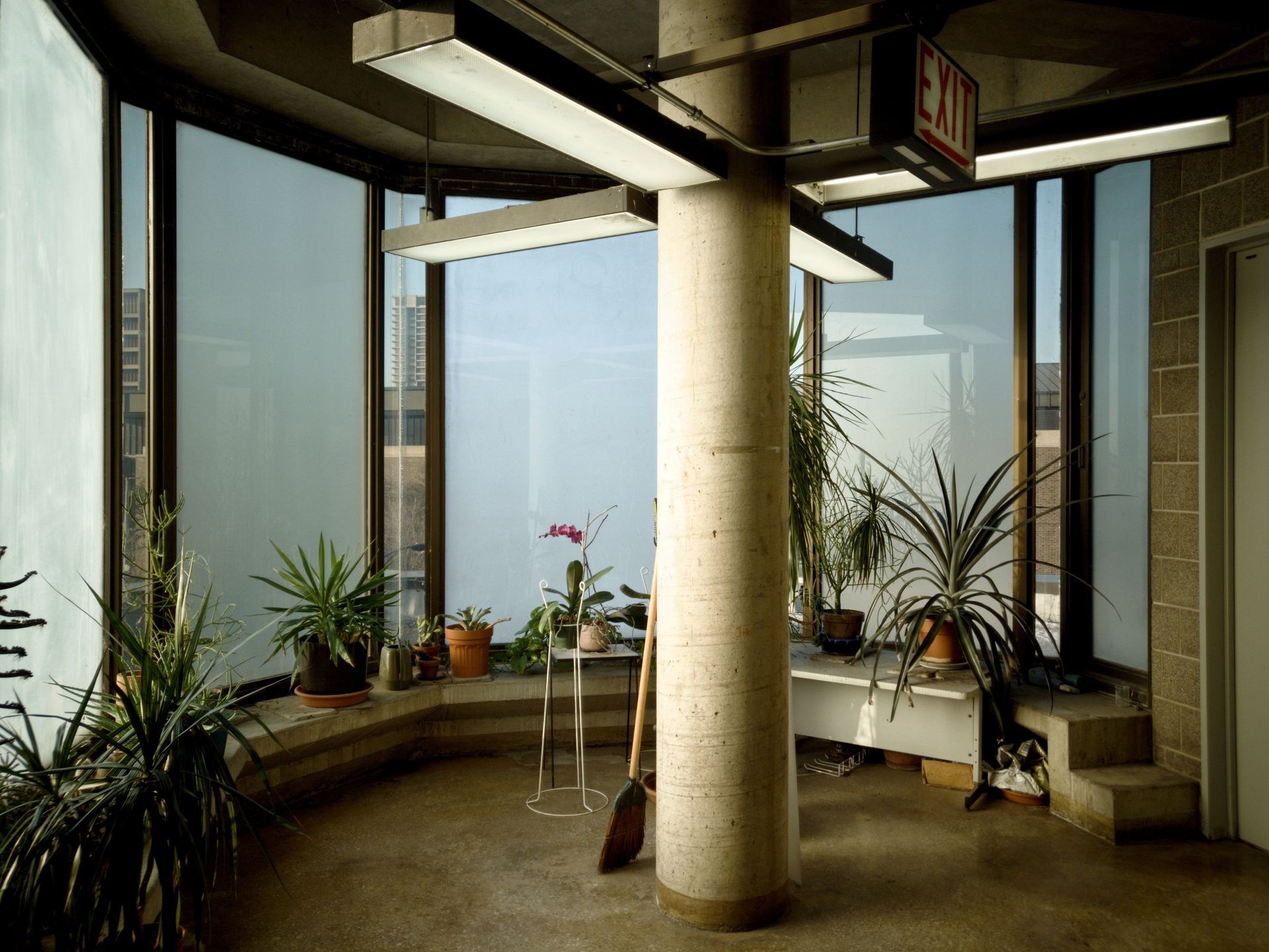 Sunroom with plants and column, large windows with a light blue sky visible, concrete steps and flooring.